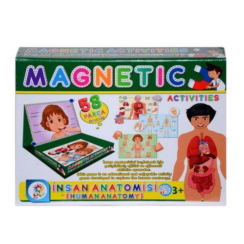 LC7171 Laço, Laço, Manyetik Aktiviteler - İnsan Anatomisi / +3 yaş