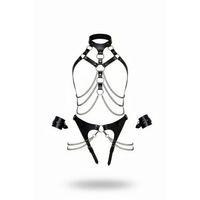 Siyah Harness Takım Zincir Detaylı Boyunluklu - Brf1067