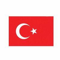 Türk Bayrağı / Yacı90