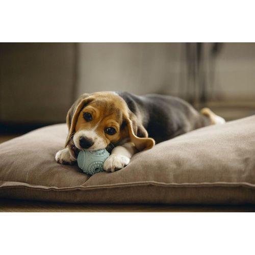 Beeztees Yavru Köpek Oyuncağı, Diş Kaşıma ve Masaj Topu, Kauçuk, Yeşil, 5cm