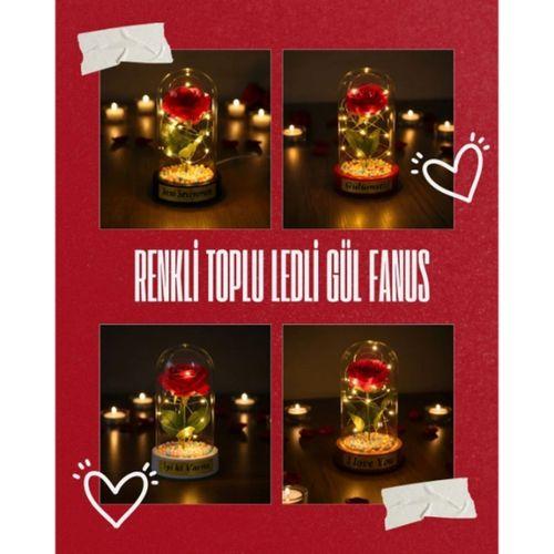 Renkli Toplu Ledli Gül Fanus