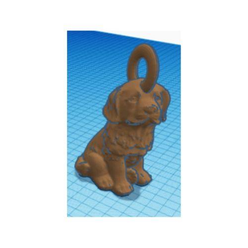 Yavru Köpek Anahtarlığı (Bu ürün Sadece Plastik parçadır - Almadan Önce Soru Sorabilirsiniz)