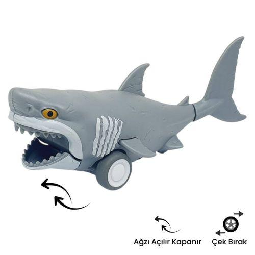 Sürtmeli Hayvanlar 2'li - Yunus Ve Köpek Balığı