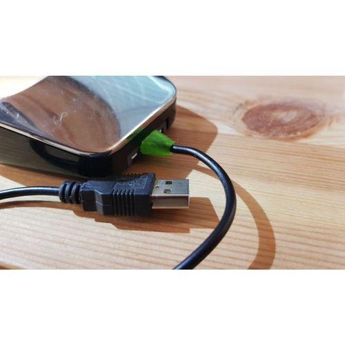 Altın Kaplama Çam Kozyuvası Noel Dekorasyonu 2 (Bu ürün Sadece Plastik parçadır - Almadan Önce Soru Sorabilirsiniz)