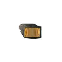 Hava Filtresi Jupiter 110 - Wego 110