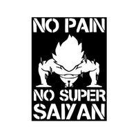 No Pain No Super Saiyan Şablon (Bu ürün Sadece Plastik parçadır - Almadan Önce Soru Sorabilirsiniz)