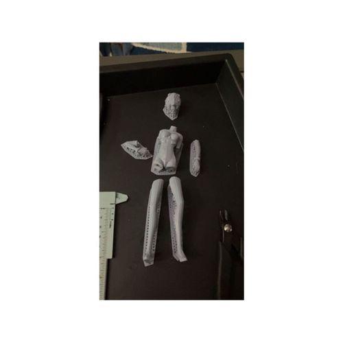 Ayanami Modeli Kes (Bu ürün Sadece Plastik parçadır - Almadan Önce Soru Sorabilirsiniz)