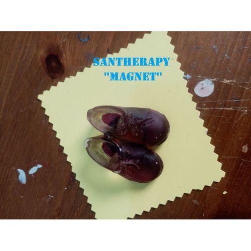SANTHERAPY MAGNET