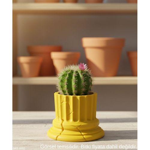 Sari Klasik Sutun Form Mini Dekoratif Saksi 7 Cm Masa Ustu Ofis Dekoru