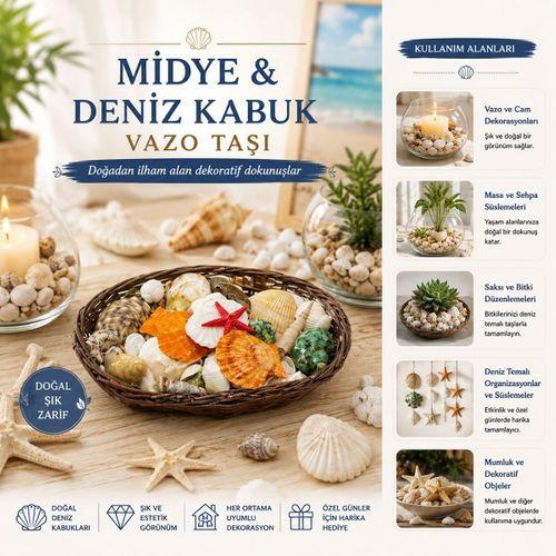 Oval Ahşap Sepet Deniz Kabuklu Vazo Taşı - Renkli Mix