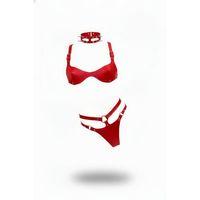 Kırmızı Harness Takım Deri Çivili Boyunluk Detaylı - Brf1298