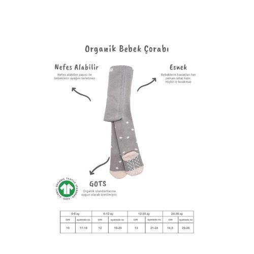 Bistyle Bistyle Tekli Puan Kaymaz Havlu Külotlu Çorap BS50502 Gri