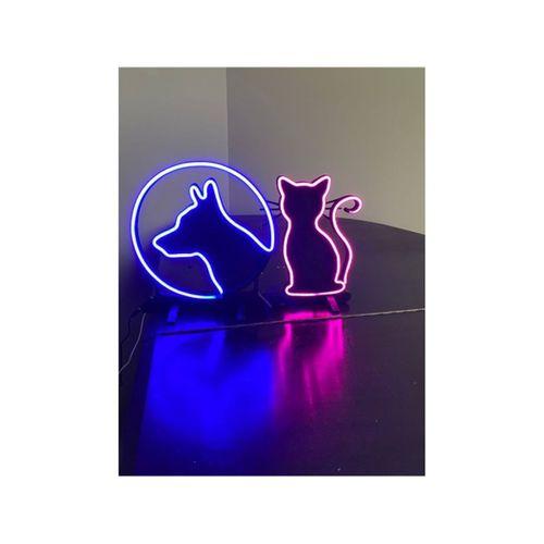 Kedi Işığı (Bu ürün Sadece Plastik parçadır - Almadan Önce Soru Sorabilirsiniz)