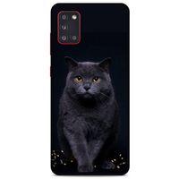 Lopard Samsung Galaxy A31 Uyumlu Kılıf Kediler (47) Crystal Flex Kılıf Scottish Fold