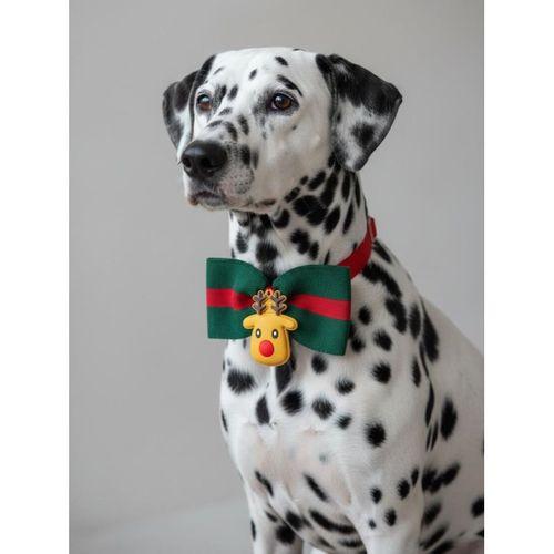 Royal Rudolph Premium Yılbaşı Köpek Papyonu | Limited Edition Luxe Aksesuar | Orta & Büyük Irklar İçin