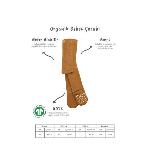 Bistyle Bistyle Tekli Kaymaz Mix Havlu Külotlu Çorap BS50501M Hardal