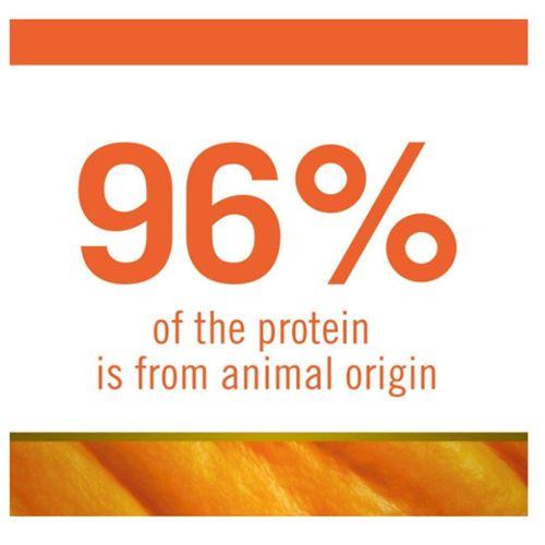 N&D Pumpkin Tahılsız Kuzu Küçük Irk Yetişkin Köpek Maması 2,5 Kg