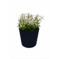 Çizgili Yuvarlak Saksı Çiçek Royaleks-5706