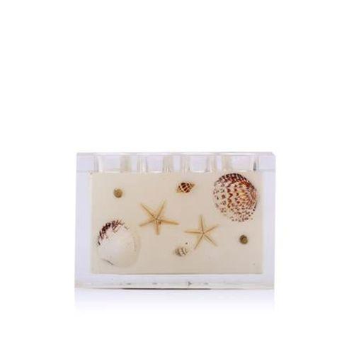 Diş Fırçalık Deniz Kabuğu Poliresin 11X4X8Cm 400 Gr