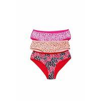 Pamuklu Geniş Kenarlı Likralı Desenli Bato Kadın Külot 3'lü Paket Set3