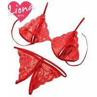 Dantelli Büyük Beden Sütyen Takımı