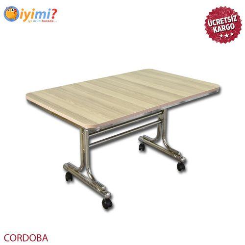 İyimi Pratik Orta Sehpa - Tekerlekli Masa 60x100