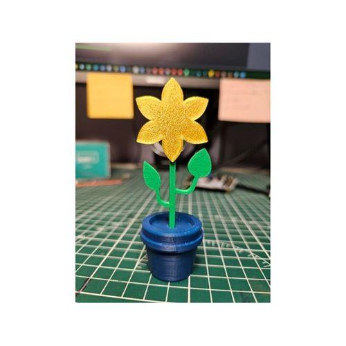 Bebek Evi Çiçeği Saksıyla