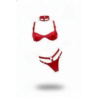 Kırmızı Harness Takım Deri Çivili Boyunluk Detaylı - Brf1298