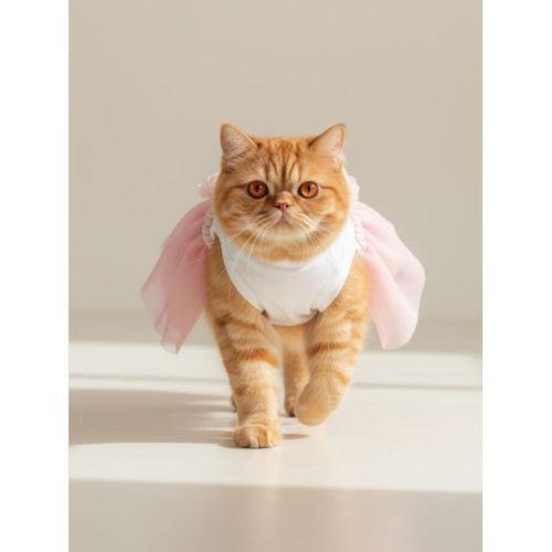 Rosie Pink Tütü Kedi Kıyafeti | Pembe Tütülü Elbise | Kediler İçin