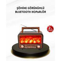 Alev Işığı Efektli Solar Bluetooth Hoparlör Radyo Destekli Taşınabilir Model