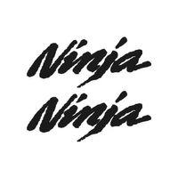 SEVGENT Skm Kawasaki Ninja Uyumlu (15X6 Cm) Sticker