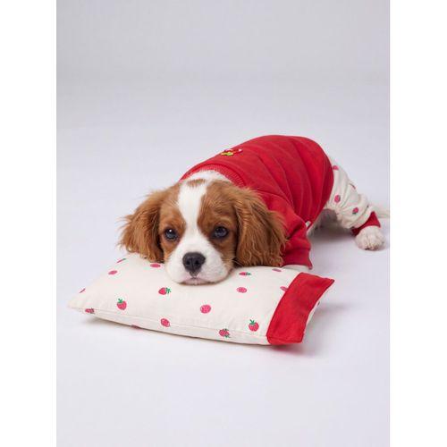 Tatlı Çilek Köpek Rüyası | Pamuklu Çilekli Köpek Tulumu, Kırmızı Sweatshirt ve Mini Yastık | 3 Parça