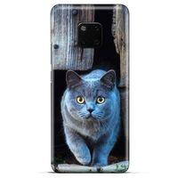 Lopard General Mobile GM 20 Pro Uyumlu Kılıf Kediler (48) Bumper Kılıf Duman