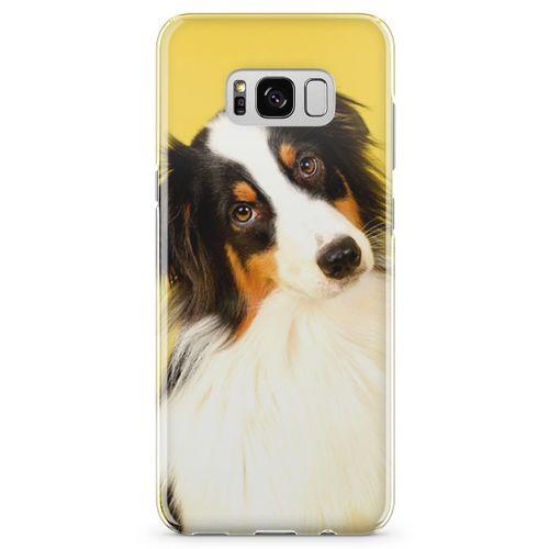 Samsung Galaxy S8 Plus Kılıf Australian Shepard Arka Kapak Koruma Desenli Full Koruyucu