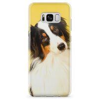 Samsung Galaxy S8 Plus Kılıf Australian Shepard Arka Kapak Koruma Desenli Full Koruyucu