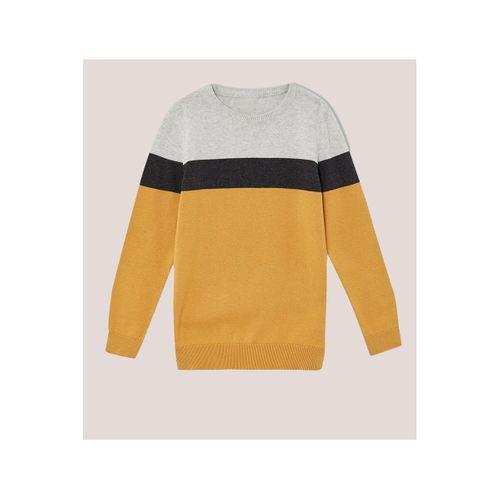 ALEXANDERGARDI ERKEK ÇOCUK RENK BLOKLU KAZAK (C21-1867)