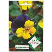 Hercai Menekşe Çiçeği Tohumu (100 Adet)