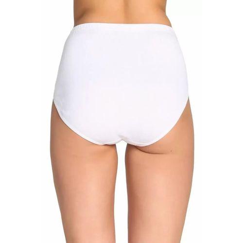2 Adet Tutku Kadın Yüksek Bel Bato Kalın Lastik Külot S9