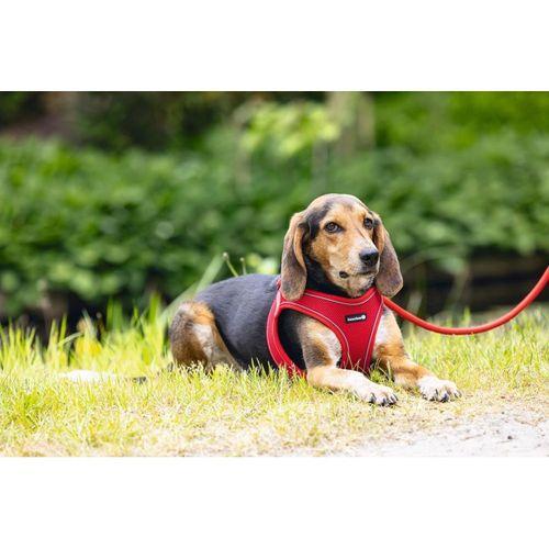Beeztees Köpek Göğüs Tasması, Neopren, Kırmızı, M, 41-46cm