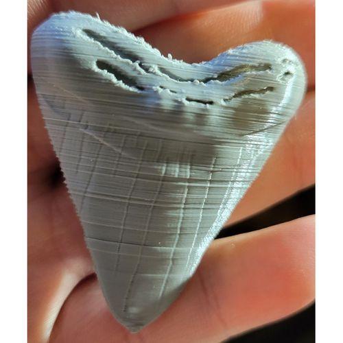 Megalodon köpekbalığı diş kopyası kolye - 5137075