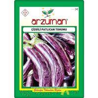 Çizgili Patlıcan Tohumu (10 Gr) Alaca Patlıcan
