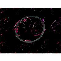 MOBYLETTE Mobylette 9,5-800 Mob Kayış İth