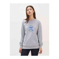 14 Mart Dünya Pi Günü Baskılı Gri Kadın Sweatshirt