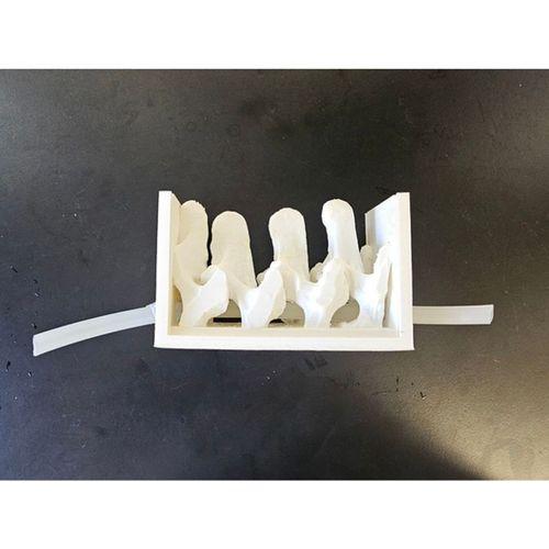 Bel Omuriliği Puncture Modeli (Bu ürün Sadece Plastik parçadır - Almadan Önce Soru Sorabilirsiniz)