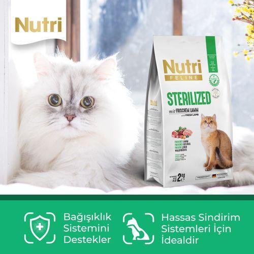 Nutri Feline Sterilised Kuzu Etli 10kg Kuru Kedi Maması