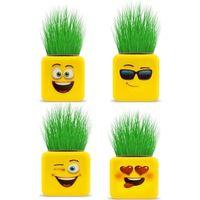 EVOSED Çimoji 4 Figürlü Emoji Küp Çim Adam