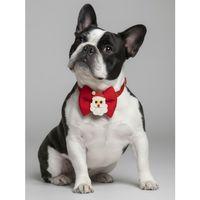 Rudolph Köpek Papyon Tasması | Kırmızı Fiyonk Boyun Aksesuarı | Noel Temalı Köpek Süsü | Orta ve Büyük Irklar İçin