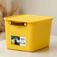 Renkli Kapaklı Plastik Organizer Kutu 15L (35x25x22 cm)