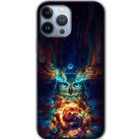 iPhone 13 Pro Kılıf HD Desen Baskılı Arka Kapak + Mat Kobra Cam - Ballı Baykuş