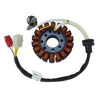 TVS Tvs Apache Rtr 200 Statör E5 18 Li Nf320940 29-93-27 Mm Orj